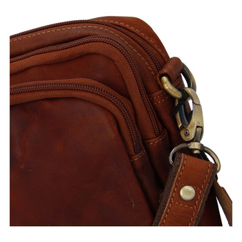 Přírodní koňaková pánská kožená taška na doklady - Tomas Svemir