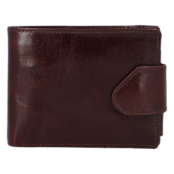 Lesklá pánská hnědá kožená peněženka - Tomas 76VT