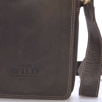 Pánská kožená taška na doklady tmavě hnědá - WILD Patric
