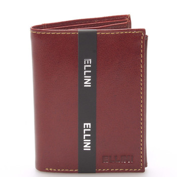 Elegantní pánská kožená peněženka hnědá - Ellini Daemon