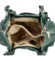 Dámská kožená kabelka tmavě zelená - Delami Minestra