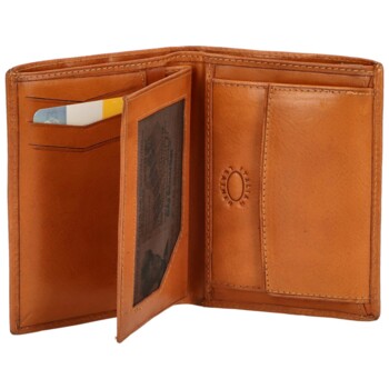 Pánská kožená peněženka koňaková - Delami Adare