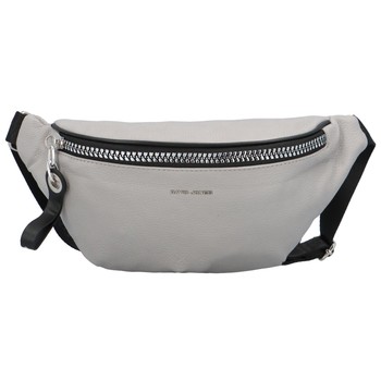 Dámská módní ledvinka světle šedá - David Jones Dria