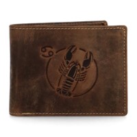 Pánská kožená peněženka hnědá - Diviley Steig Rak