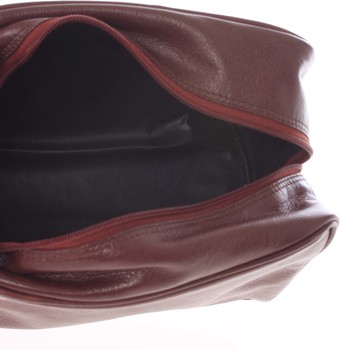 Pánská hnědá kožená kosmetická taška - E680