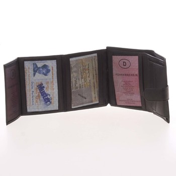 Kožená pánská peněženka - Delami 11163