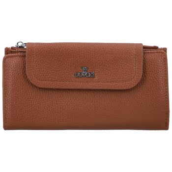 Dámská peněženka hnědá - Coveri Caiti
