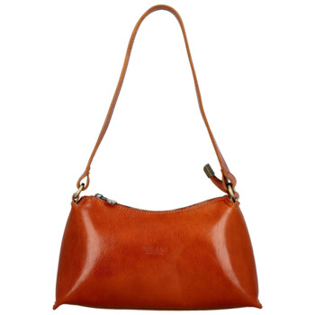Dámská kožená kabelka na rameno koňaková - Delami Vera Pelle Araxi