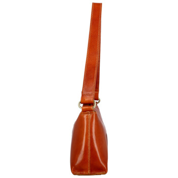 Dámská kožená kabelka na rameno koňaková - Delami Vera Pelle Araxi