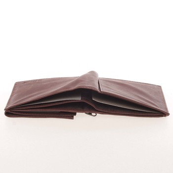 Pánská kožená hnědá peněženka - Delami Therron