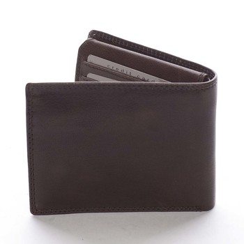 Pánská kožená peněženka hnědá - Pierre Cardin Sakul