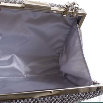 Luxusní dámské psaníčko stříbrné - Delami V4700